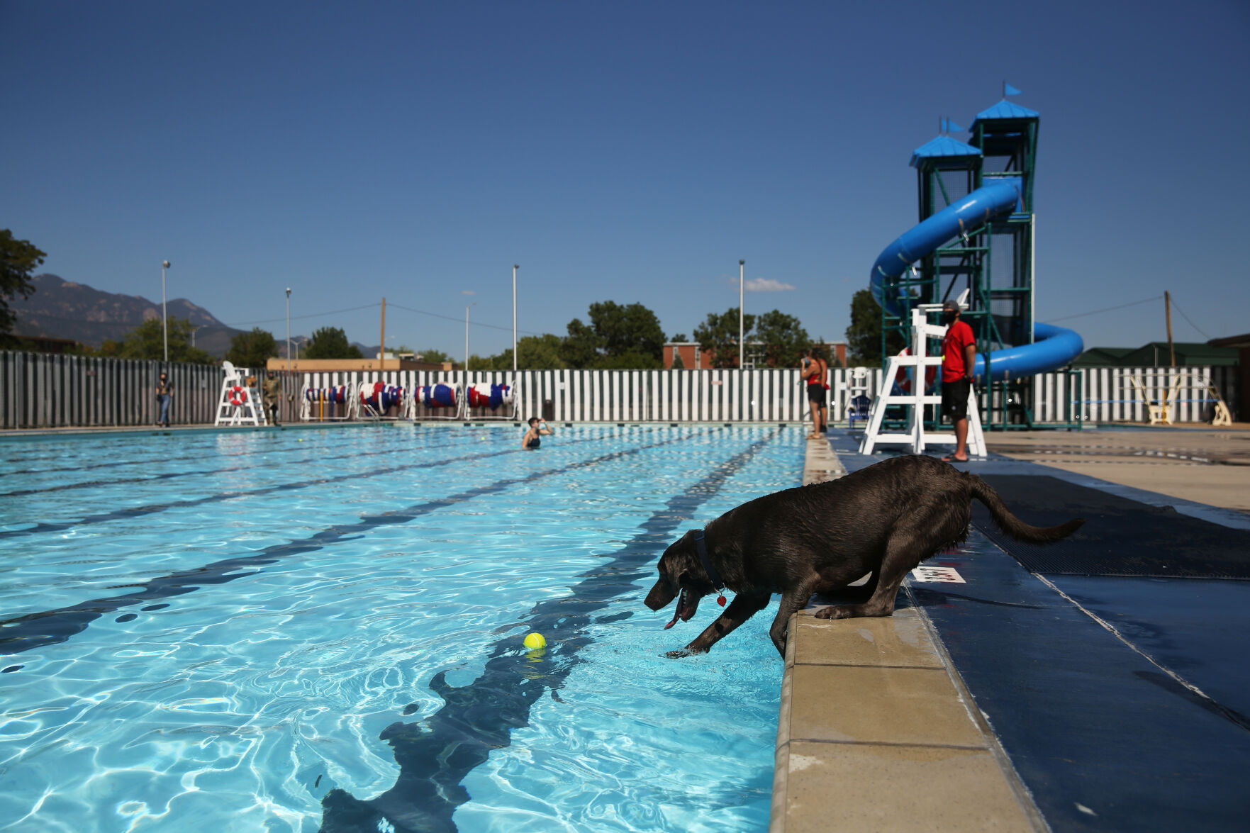 091320-news-dogsplash 11.jpg